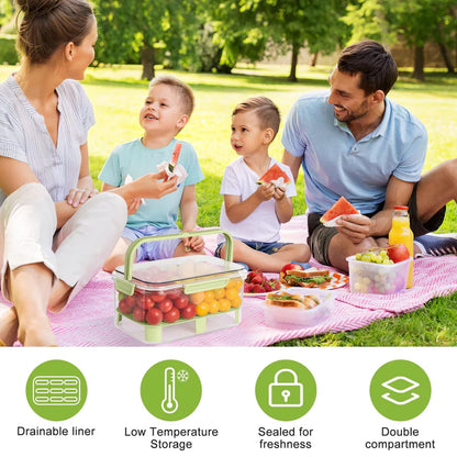 🔥BIG SALE 77% OFF🔥  New Outdoor Picnic Preservation Box